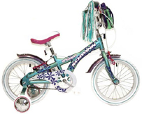 schwinn bicycle