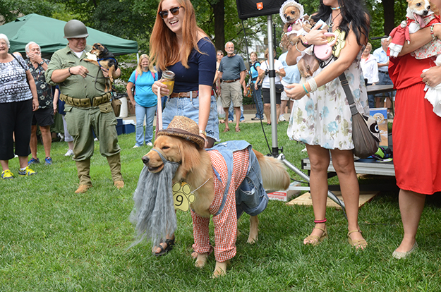 history hound dog costume contest